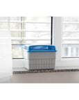 Refillable Damp Killer Dehumidifier 1kg - LAUNDRY - Cleaning - Soko and Co
