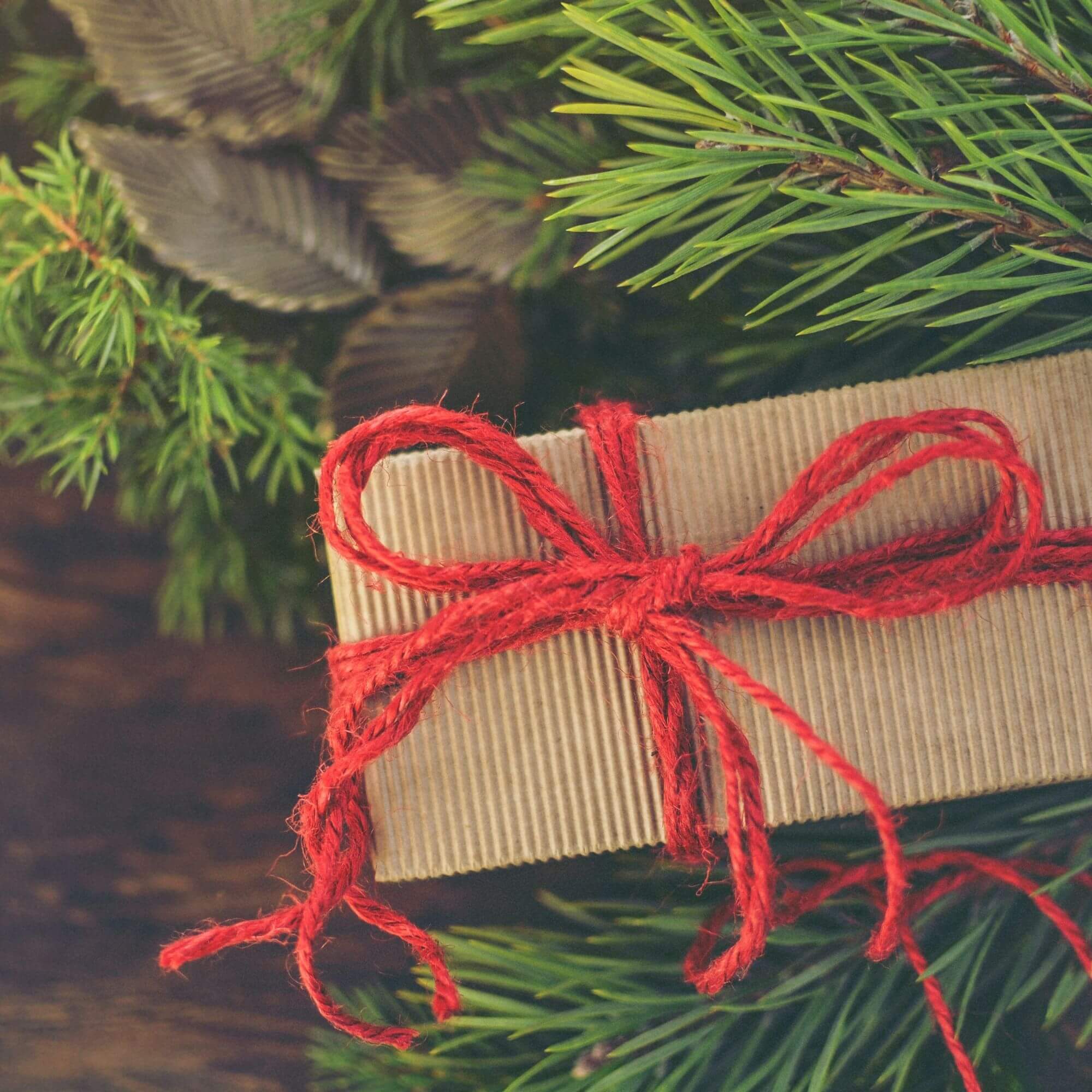 A Christmas gift wrapped in brown paper and red ribbon underneath a Christmas tree