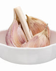 Clearly Fresh Garlic Food Storage Pod - KITCHEN - Accessories and Gadgets - Soko and Co