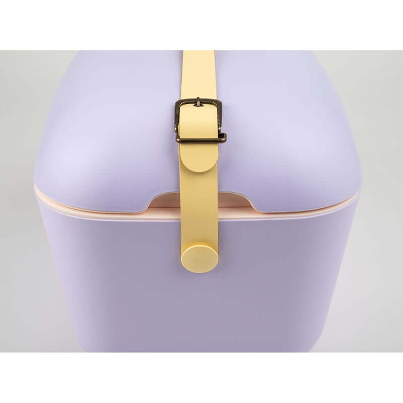 Polarbox 20L Ice Box Lilac &amp; Gold - LIFESTYLE - Picnic - Soko and Co